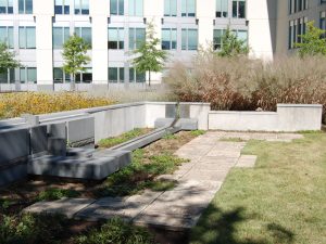 Michael_Singer_FDA_healing_garden 2