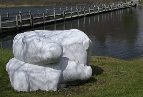 brookfield hippos