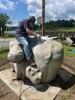 hippo repairs3